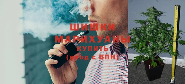 ГАЛЛЮЦИНОГЕННЫЕ ГРИБЫ Балабаново